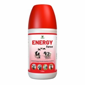 Energy Force