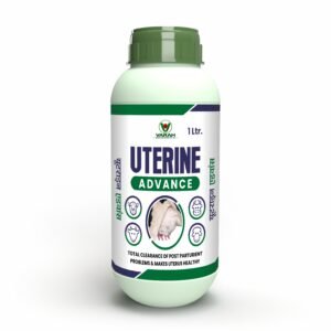 UTERINE ADVANCE.jpg