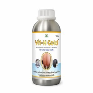 Vit-H Gold Liquid