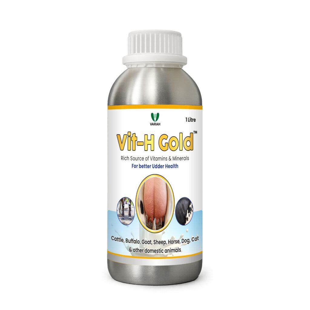 Vit-H-Gold-1