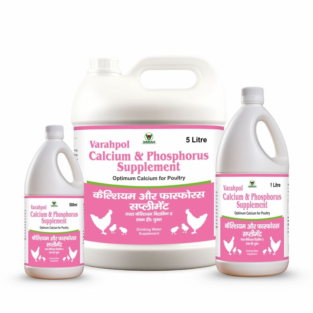 CALCIUM & PHOSPHORUS.jpg