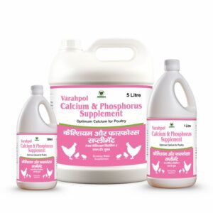 CALCIUM & PHOSPHORUS.jpg