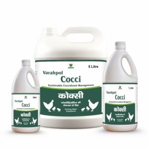 Cocci