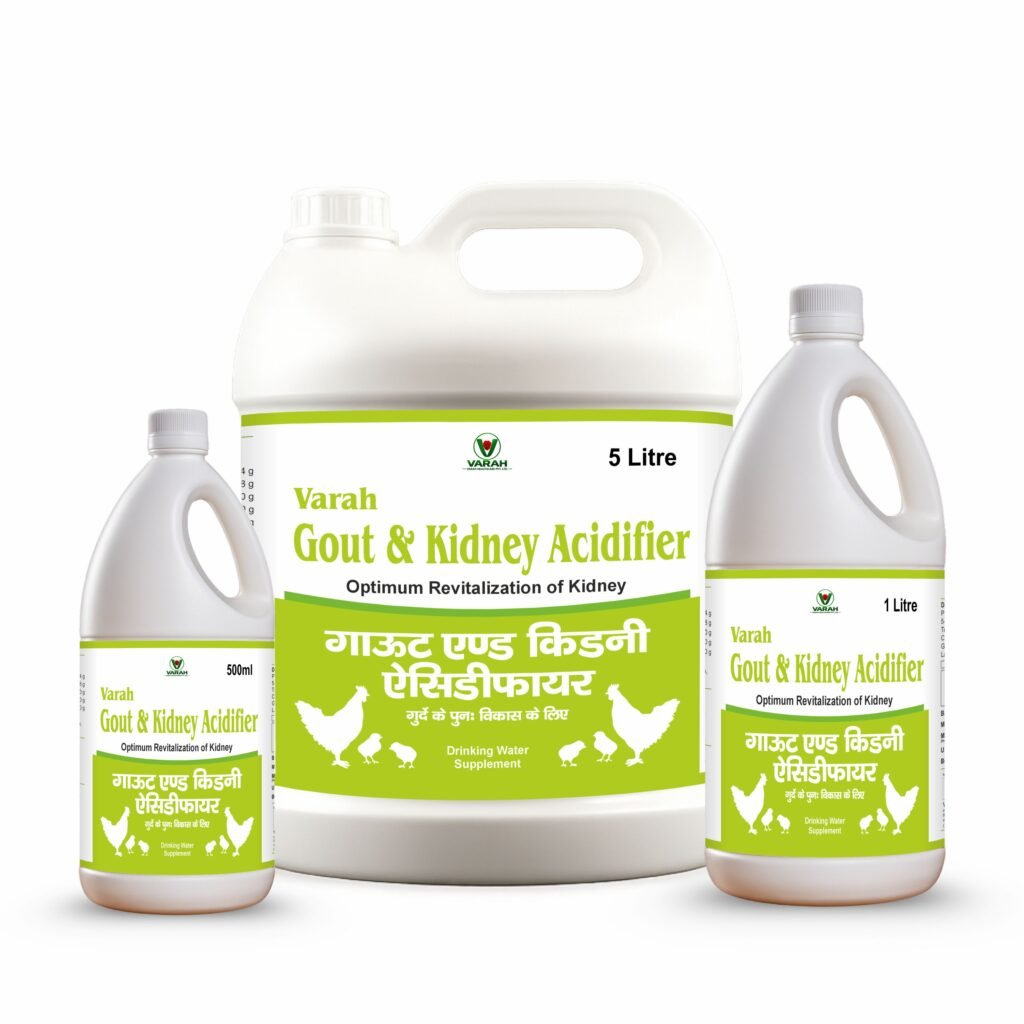 GOUT & KIDNEY ACIDIFIER