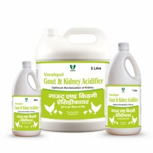 Gout & Kidney Acidifier