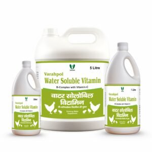 Varahpol Water Soluble Vitamin