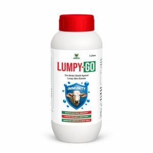 LUMPY-GO.jpg