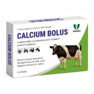 Calcium Bolus