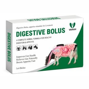 Digestive Bolus