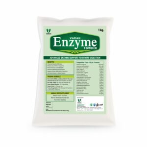Enzyme Powder