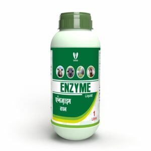 Enzyme Liquid
