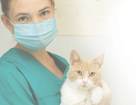 Varah Vet Animal Care Products