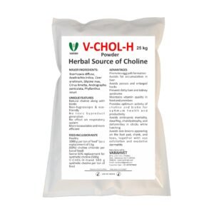 V CHOL-H