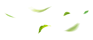 Natural Veterinary Supplement Ingredients