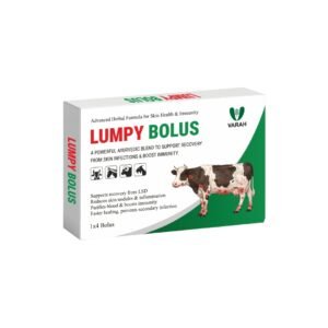 LUMPY BOLUS