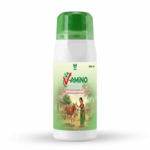 V-AMINO Liquid – Advanced Multi-Vitamin & Amino Acid Formula  for Peak Vitality