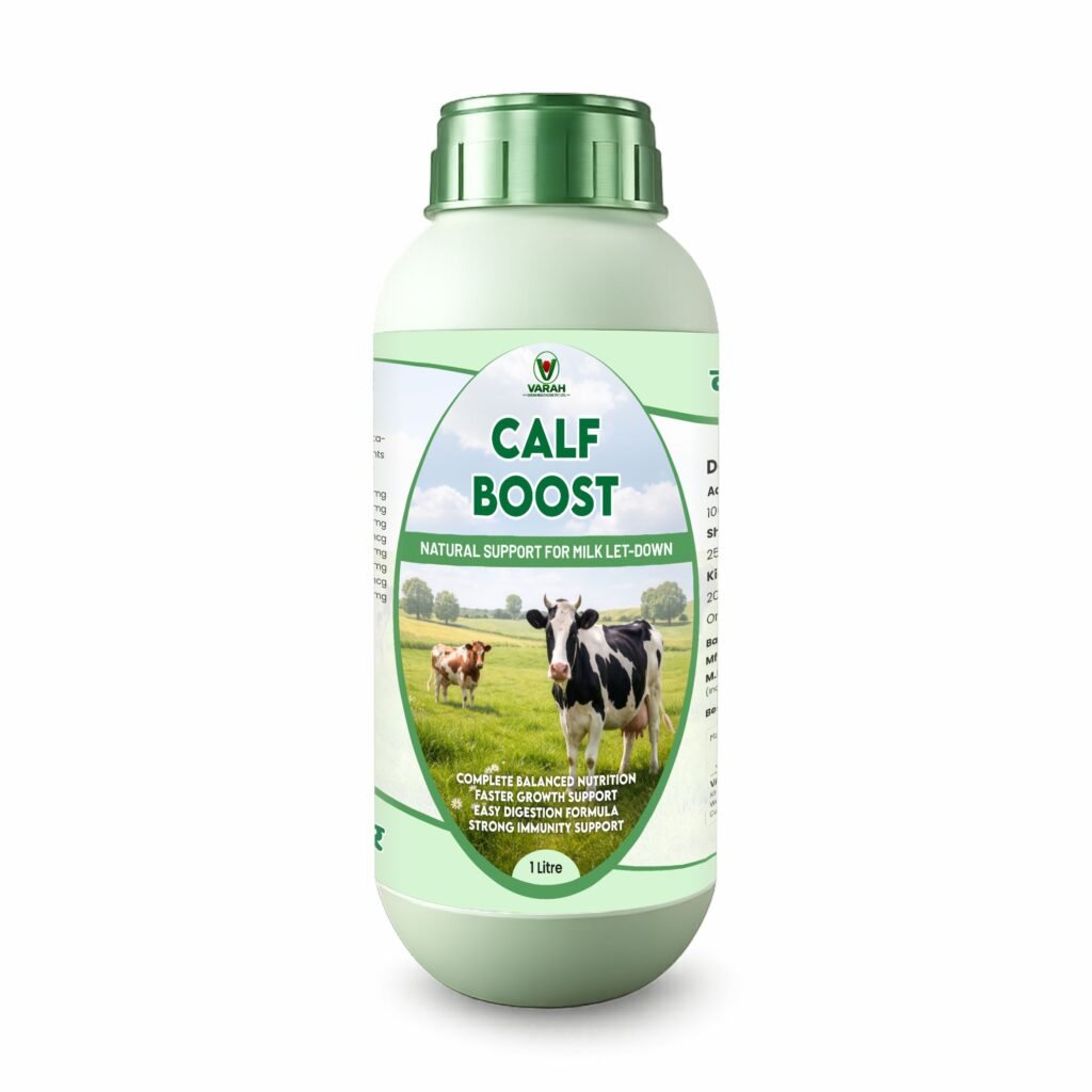 CALF BOOST