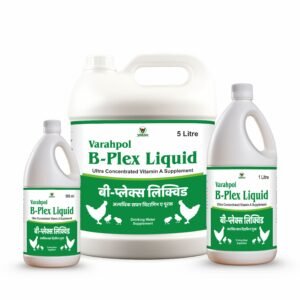 B-PLEX LIQUID.jpg