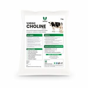 VARAH CHOLINE POWDER