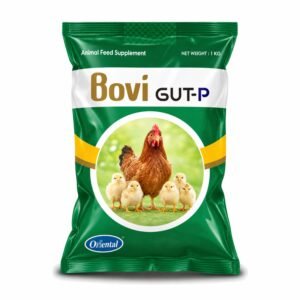 Bovi GUT-P