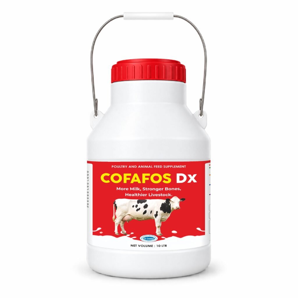 COFAFOS DX.jpg