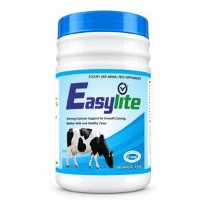 Easylite