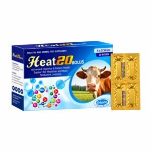 Heat20 Bolus